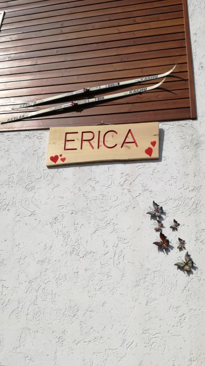 Casa Erica - Carano Lejlighed Eksteriør billede